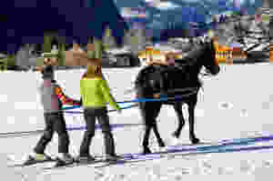 Winter Recreation