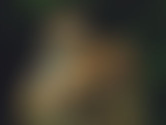 Explore & Roar: KSPS PBS Kids’ Day at Cat Tales  