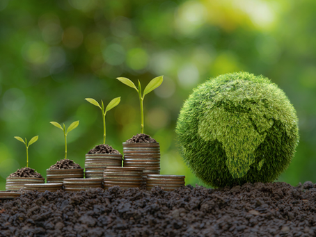 FINANCIAL FOCUS®- Should you invest … or speculate?