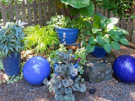 Showtime for the Gig Harbor Garden Tour