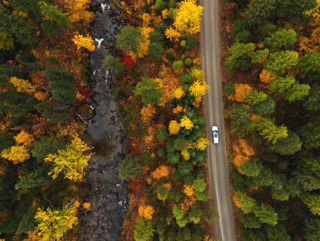 Fall in Love with Kalispell, Montana