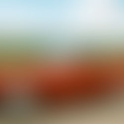 Q&A with Carolyn Gleason, Founder and Organizer of Lost in the ‘50s