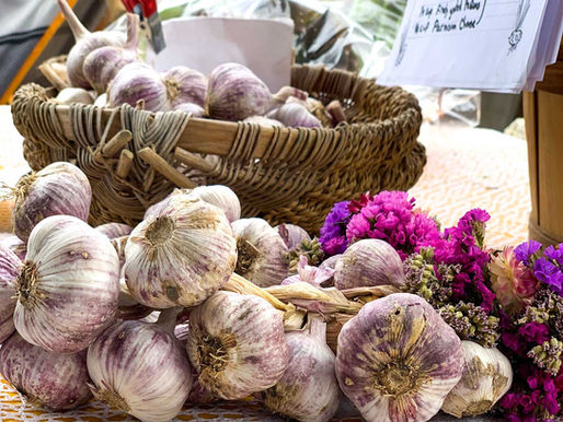 Bonners Ferry Farmers Market Garlic Festival