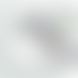 Travers Park: A visionary gem for Sandpoint