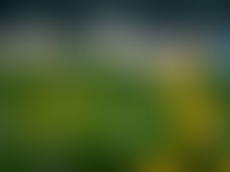 NIBCA 2026 Home & Garden Show