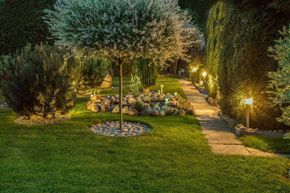 Ornamental tree planted in a lawn with an adjacent paver pathway and low voltage lighting. Landscaping is tidy and attractive.