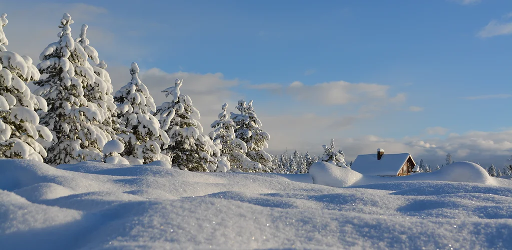 Home Coeur D Alene Idaho Coeur D Alene Living Local
