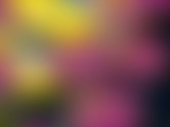 2026 Spring Dash Half Marathon