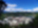 100_2657.jpg