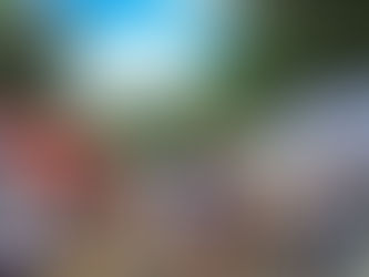 Peninsula Art League + Summer Art Festival