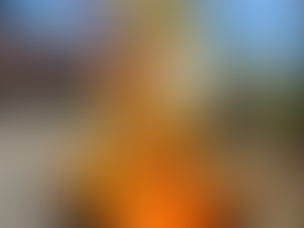 New Leaf Nursey Annual Fall Festival