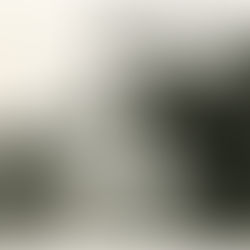 Memories from His Youth