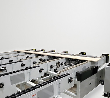 Transfer Conveyors.jpg