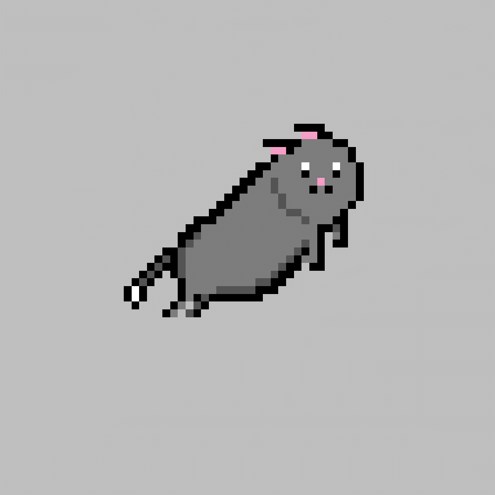 Gatito saltando