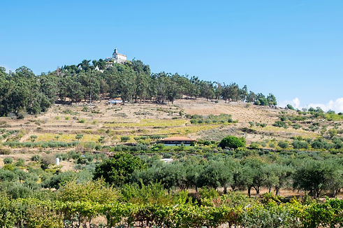 Casas de Villas Boas II __001.jpg