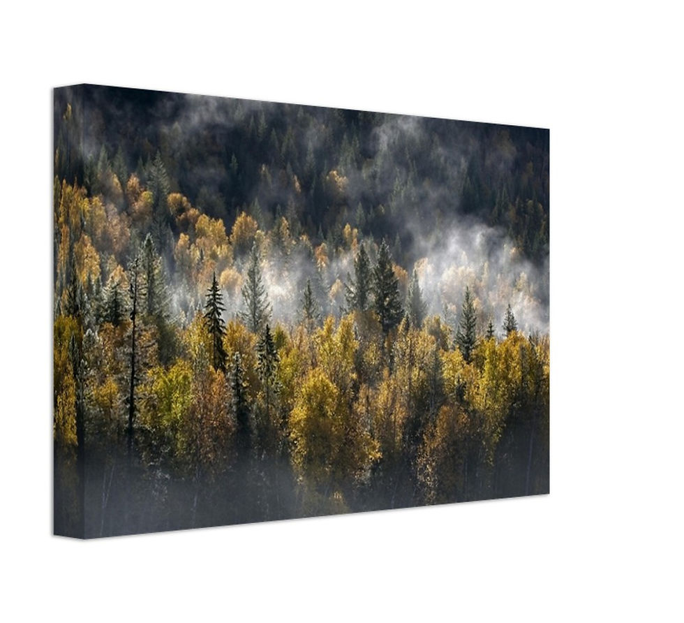 Thumbnail: Morning Mist Canvas