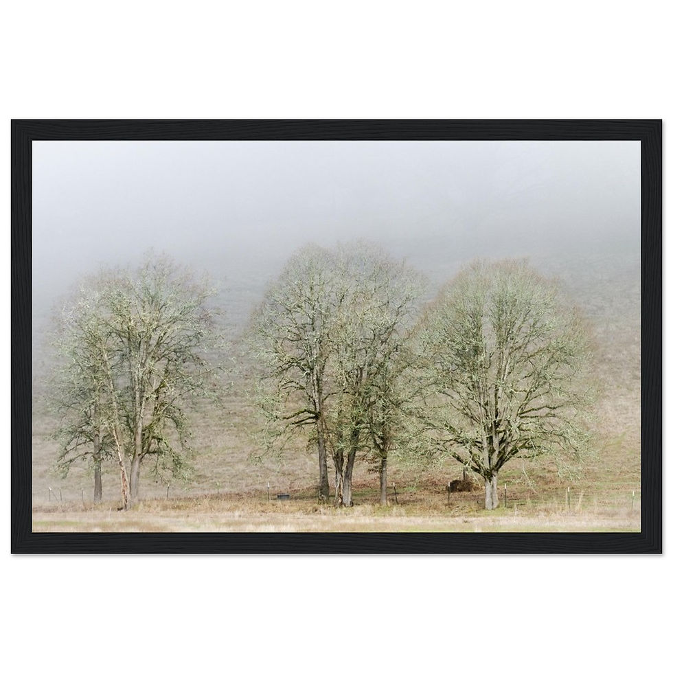 Thumbnail: Oak In The Mist Premium Matte Paper Wooden Framed Poster