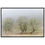 Thumbnail: Oak In The Mist Premium Matte Paper Wooden Framed Poster