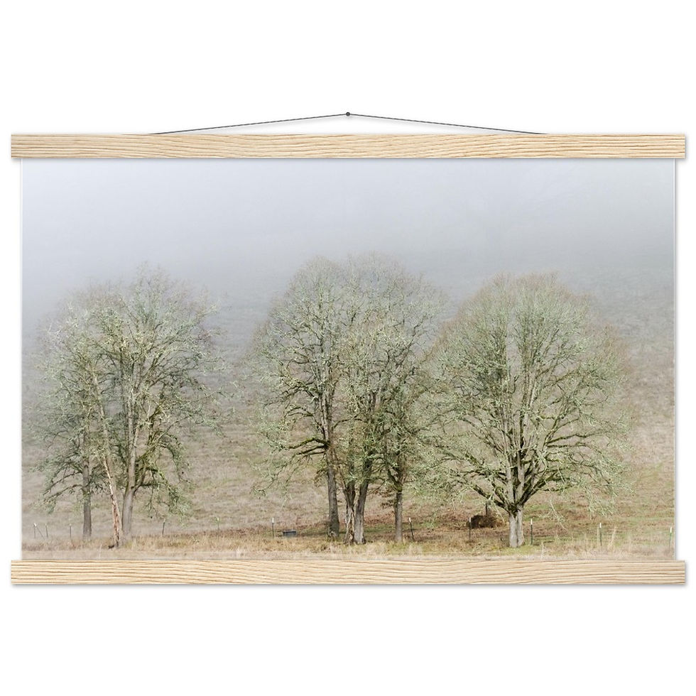 Thumbnail: Oak In The Mist Premium Matte Paper Poster with Hanger