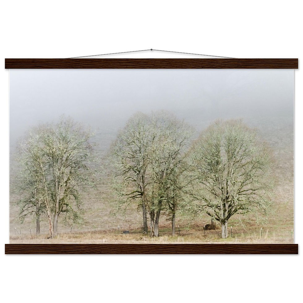 Thumbnail: Oak In The Mist Premium Matte Paper Poster with Hanger