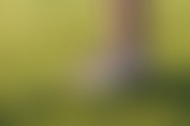 Grounding: The Ancient Healing Power of Walking Barefoot