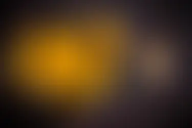 Why Turmeric Should Be in Your Dog’s Food Every Day | Dog Wellness Tips