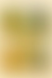 Seasonal Eating for Dogs: The Srirangavn Way to Natural, Balanced Wellness