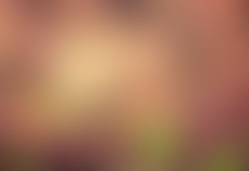 The Microbiota Revolution: How Your Gut Ecosystem Quietly Creates (or Cures) Chronic Disease