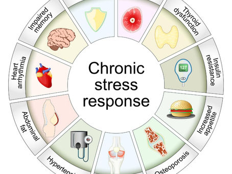 “It’s Not Just Stress. Your Body Is Adapting to It.”
