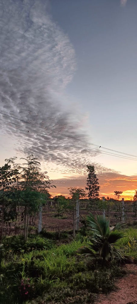 Bangalore Nights Are Getting Hotter—Here’s Why Farms Still Cool Down Naturally
