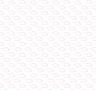 Long Van_Pattern Red_edited_edited.png