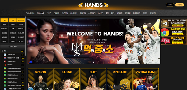 먹튀중개소(먹중소)에서 먹튀정보확인 완료된 먹튀사이트 핸즈(HANDS).