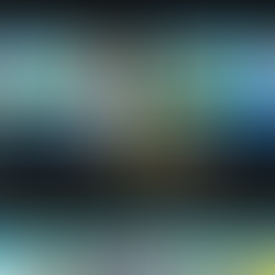 🚨 팔라완(PALAWAN) 먹튀 보고서