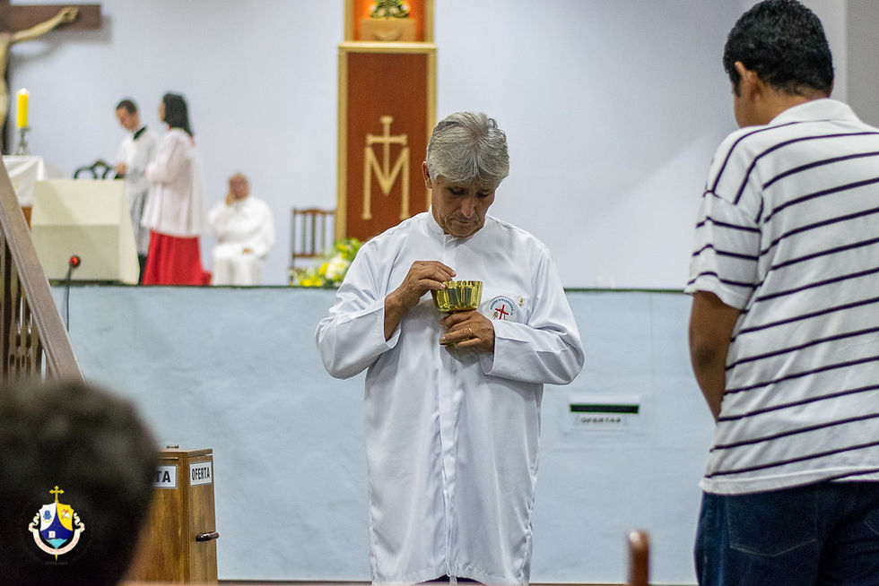 163-DSC_2230