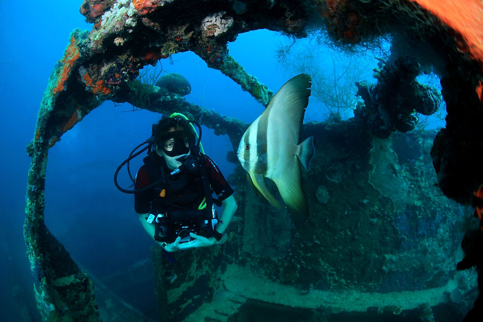 Palau Underwater Photo