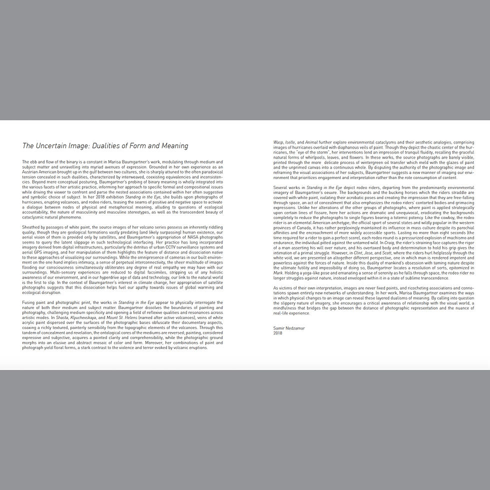Thumbnail: Marisa Baumgartner - "Standing in the Eye" exhibition catalog