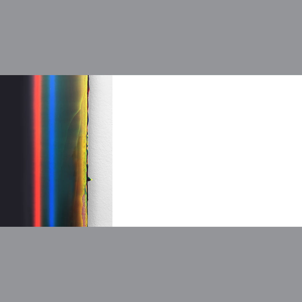 Thumbnail: Ryan Crotty - "Diviner" exhibition catalog