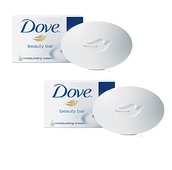 dove soap 047576 2PK.png