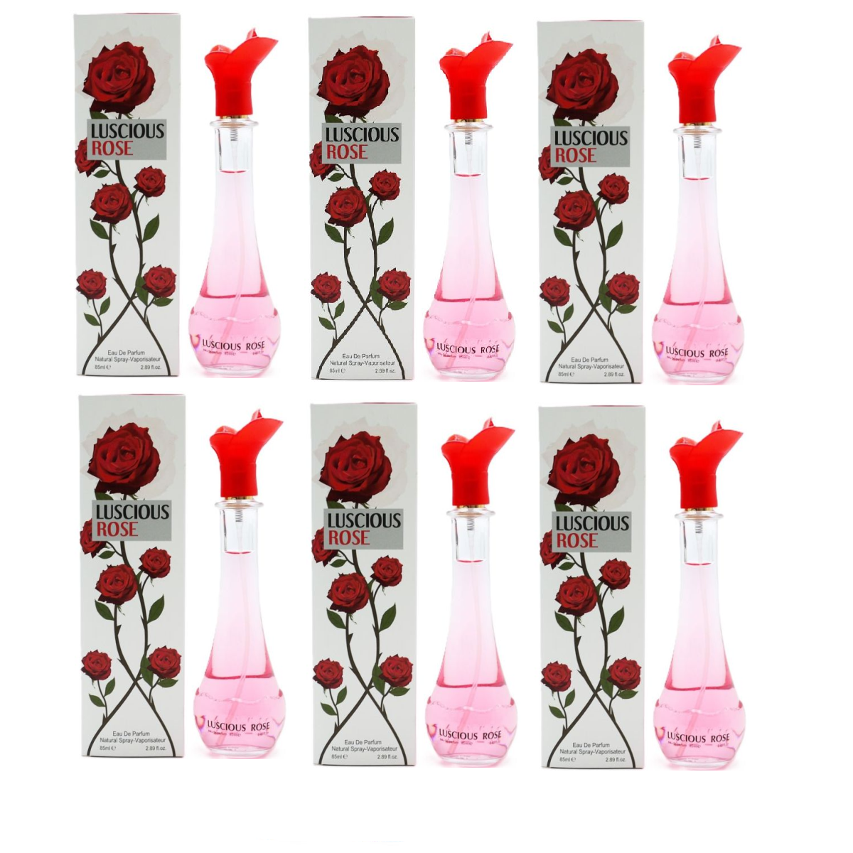 BKPERX - 6 PACK BOXED PERFUME 50ML