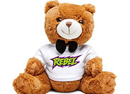 Brown plush teddy bear with custom photo shirt