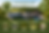 pub gataudiere 2026.png
