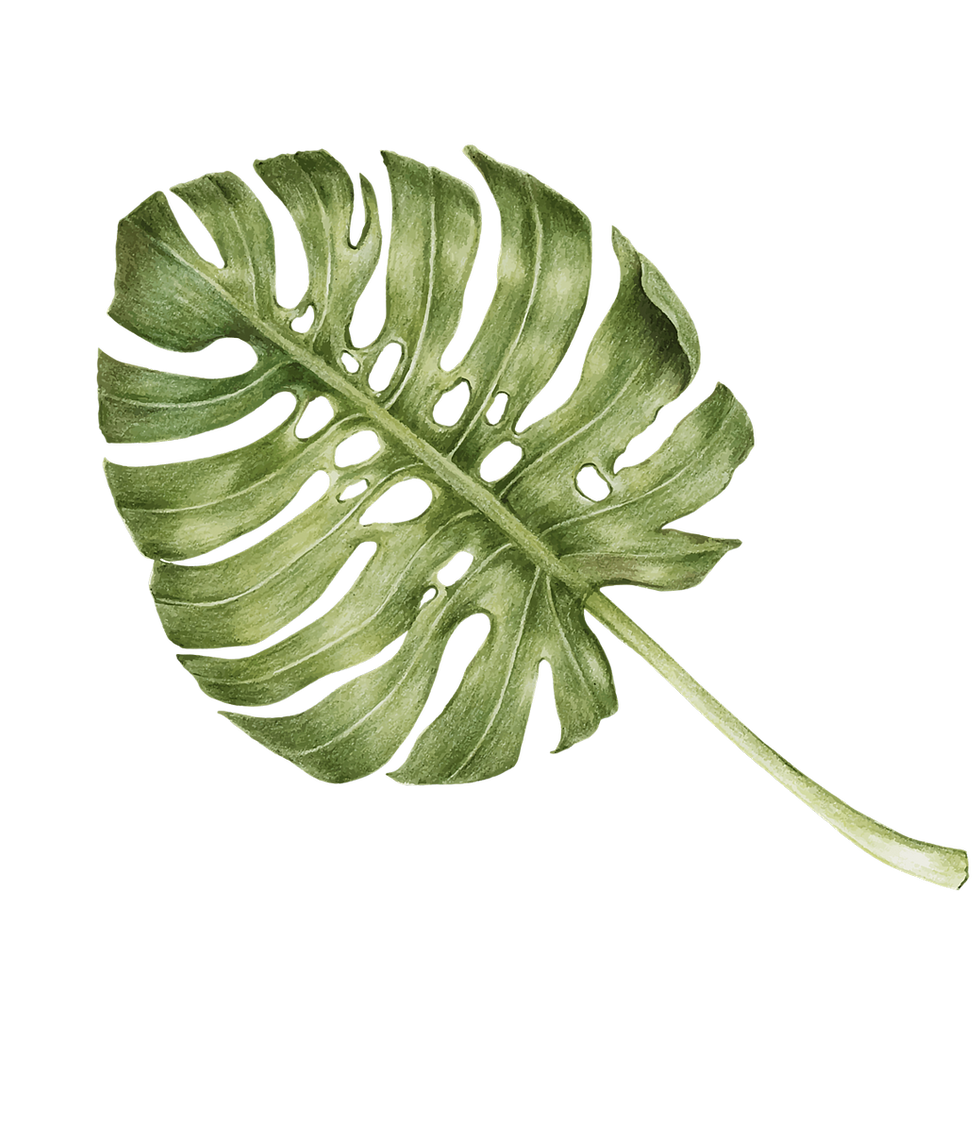 葉