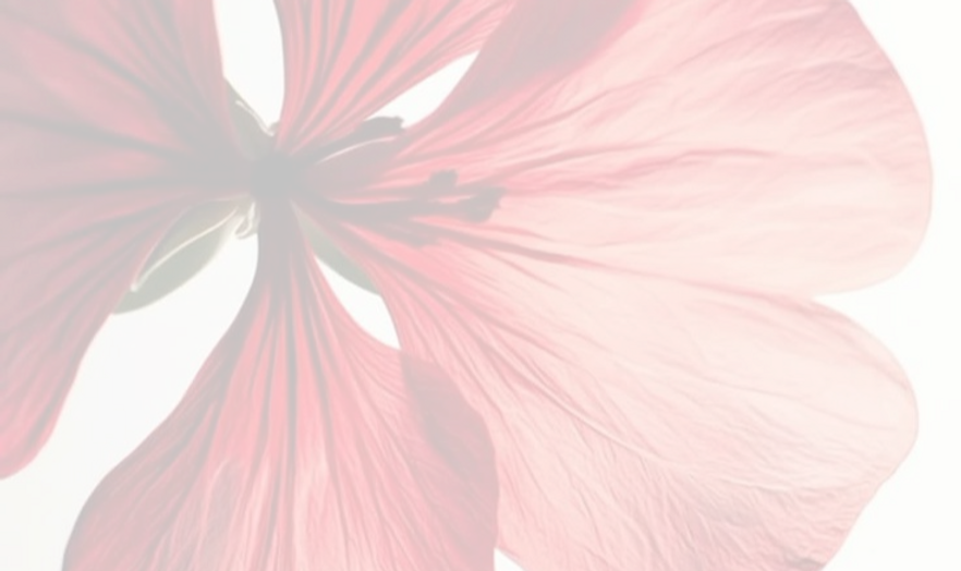 descarga (3)_edited_edited.png