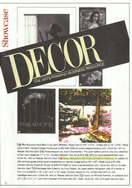 Decor Magazine Showcasing artist Marcia Friedman