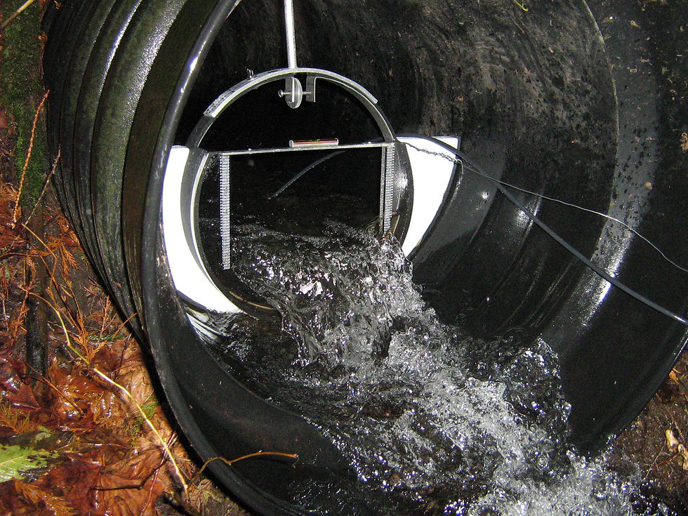 City of Issaquah Wetland Discharge Monitoring