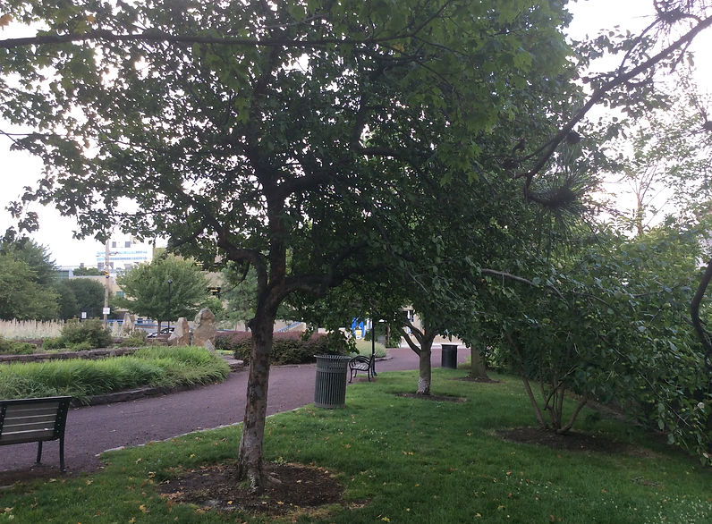 crabapple brandywine se.jpeg