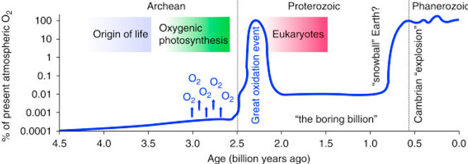 great oxygentation event.jpg
