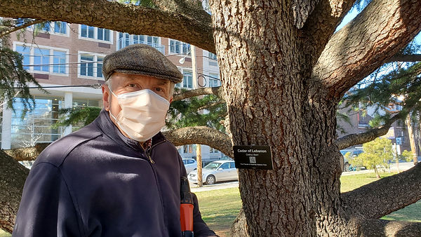 stan and first tree tag.jpg