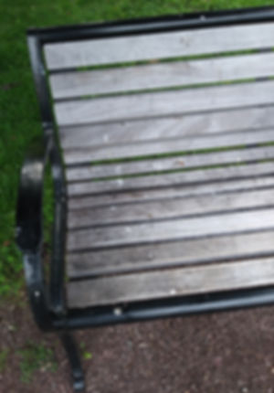bench cleaned of poop (2).jpg