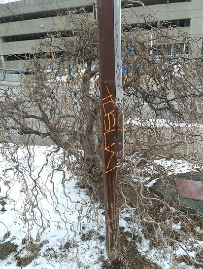 graffiti 2.13.21 before.jpg